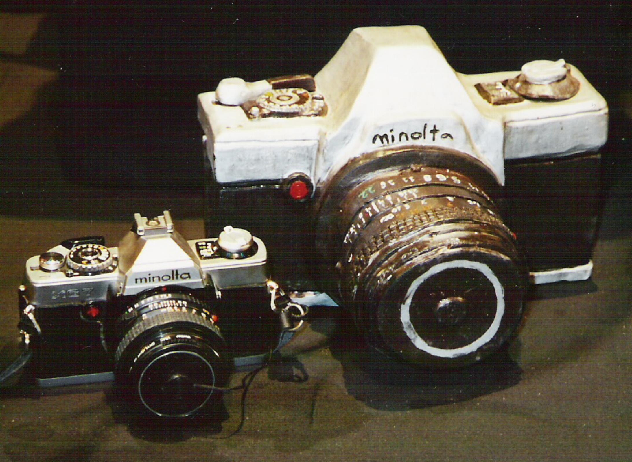 Camera Bank