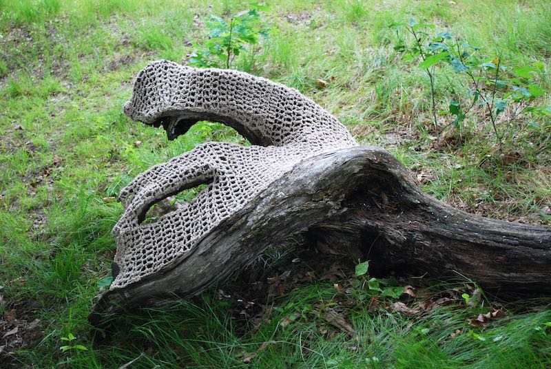 Mended tree in a park