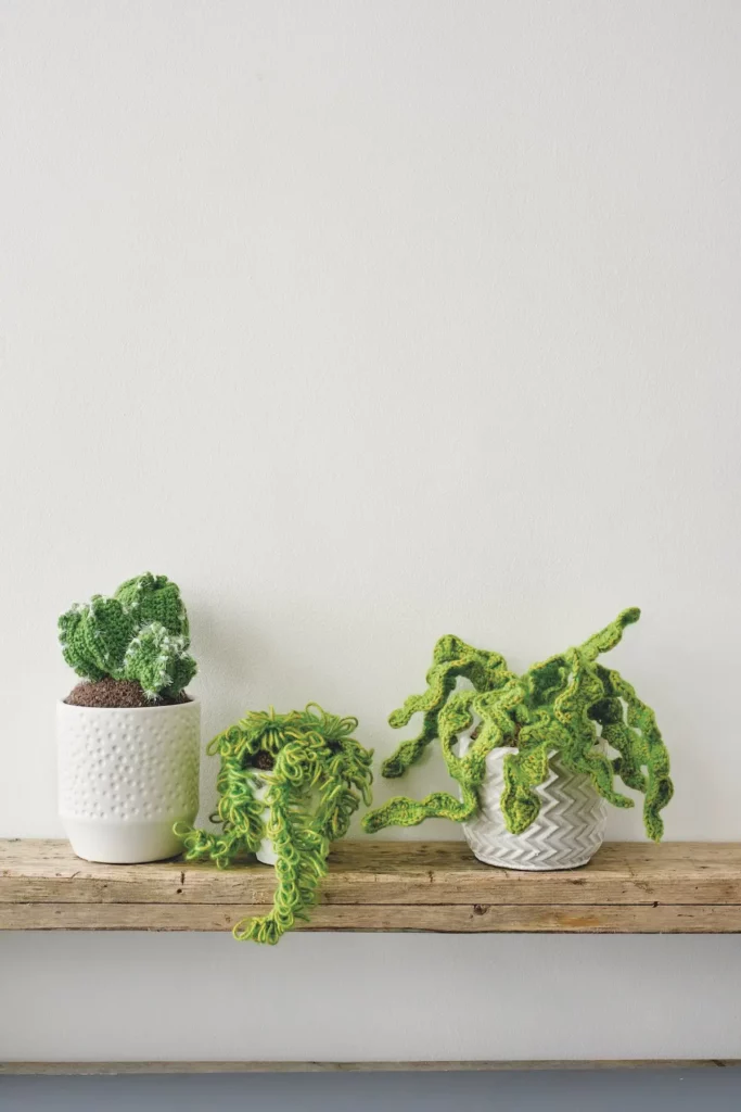 Set of three green houseplants