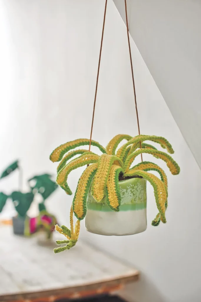 Crocheted hanging plant