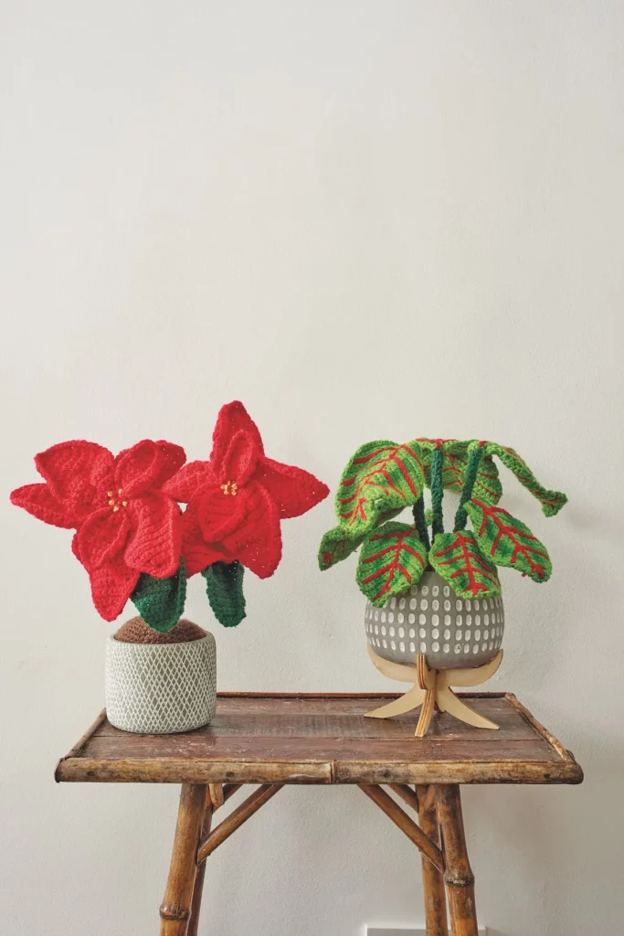 Crocheted poinsettia and coleus