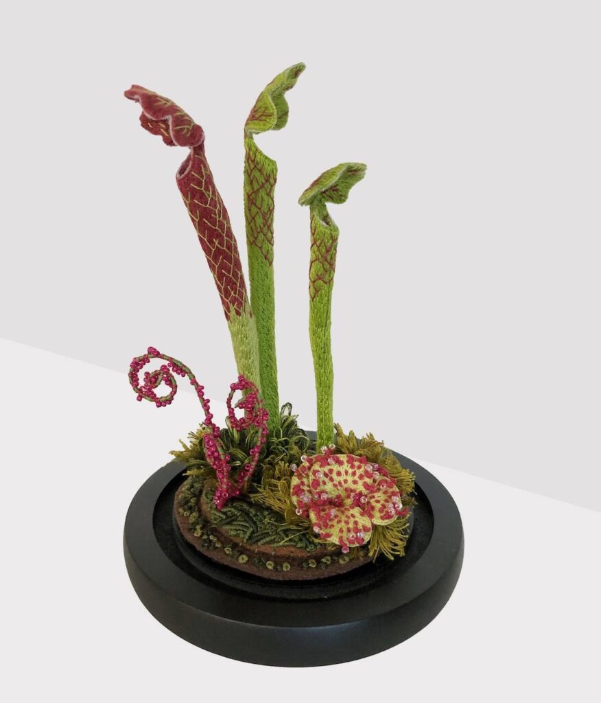 Carnivorous Plant Terrarium stumpwork embroidery by Melissa Galbreath