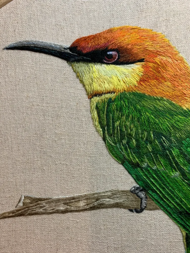 Close up of the head of an orange, yellow and green bird by Jessica Devin