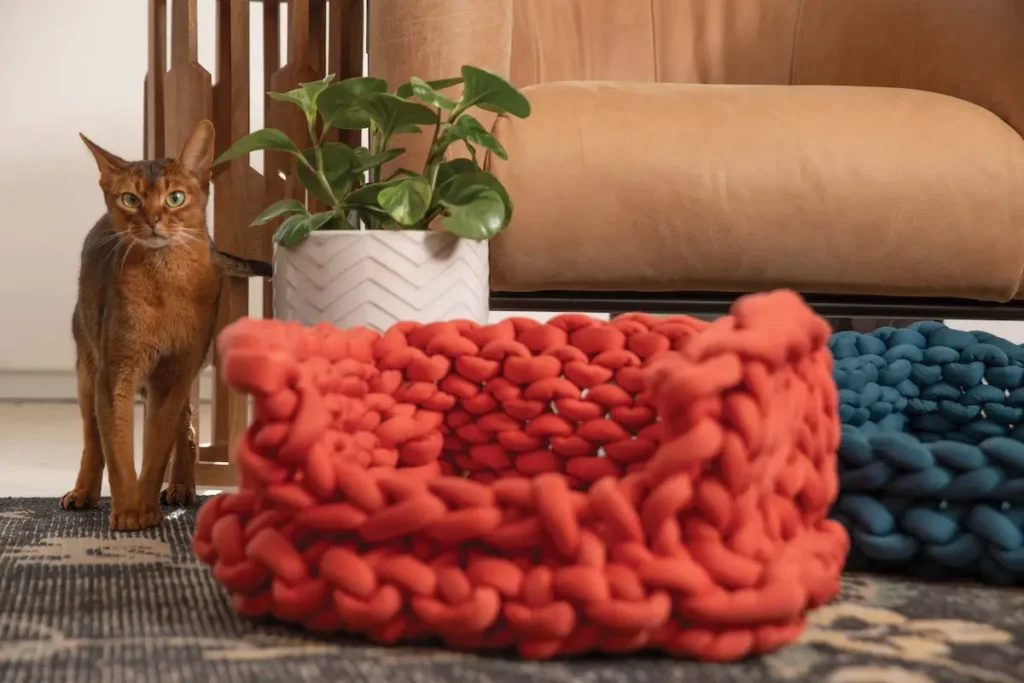 Cat bed knitted by Vickie Howell