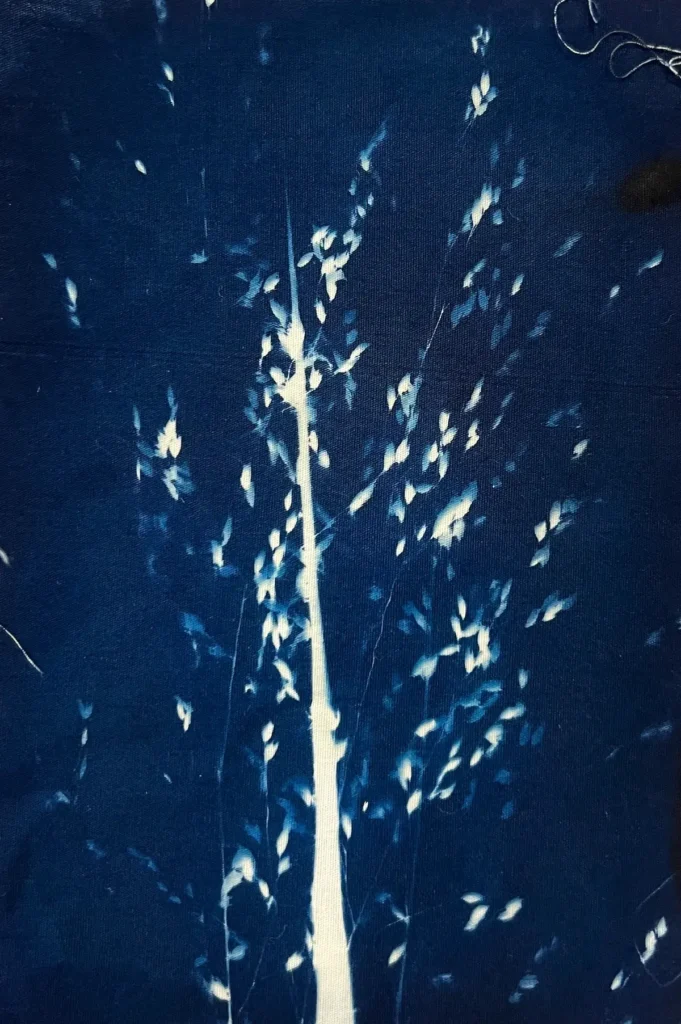 Close up of tall grass with seeds as a cyanotype on fabric