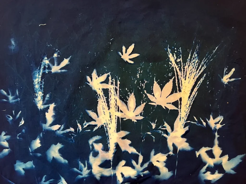 Finished cyanotype with a variety of plants and leaves