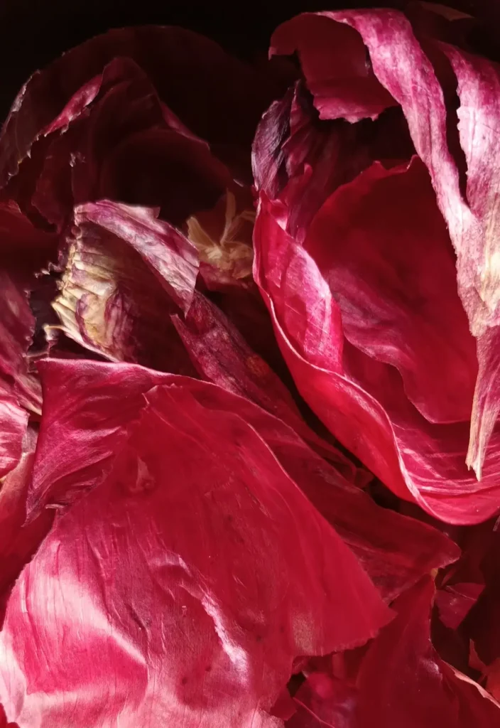 Close up of onion skins used for natural dyes by Mildred & Sama of Suula