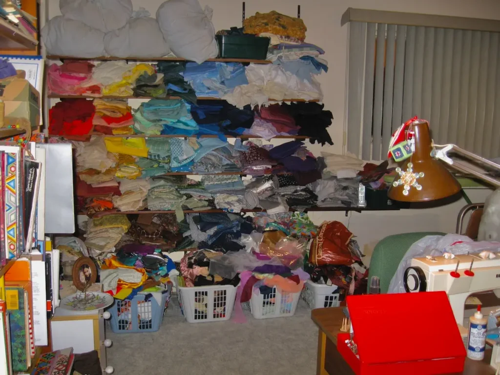 Ann Wasserman studio and fabric shelves