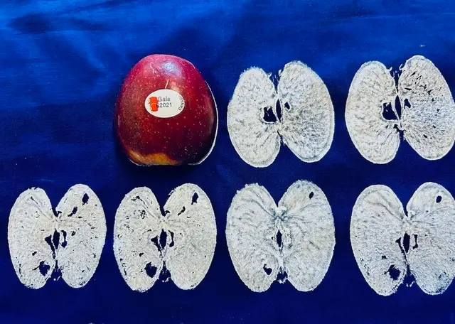 An Apple a Day fiber art by Gunnel Hag print process