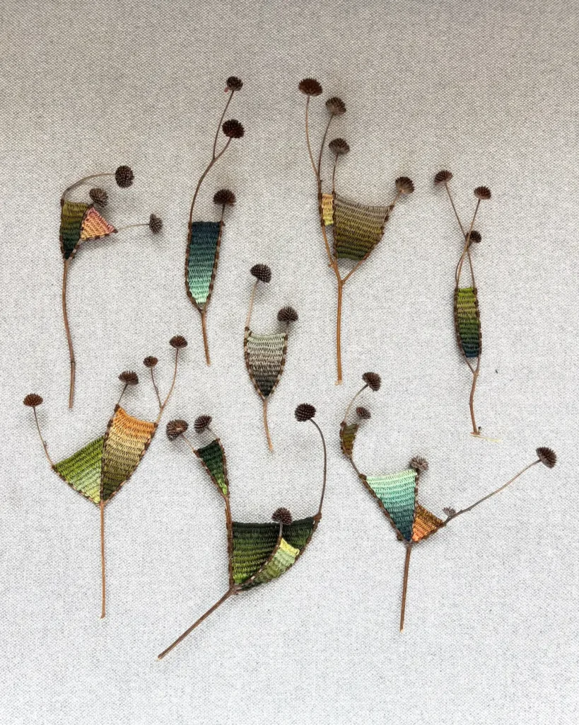 Nosara branches by Kaci Smith