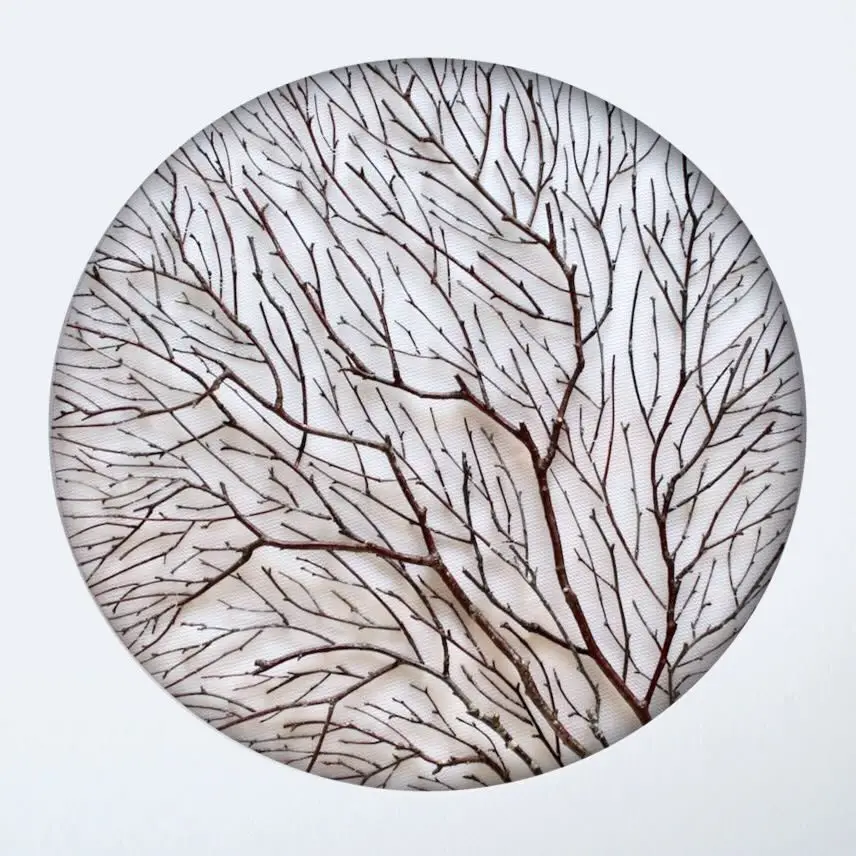 Twigs placed in the circle template by Olga Prinku