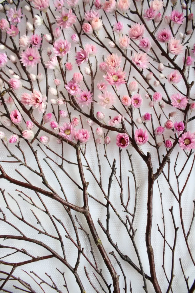 Close up of pink flowers on twigs by Olga Prinku