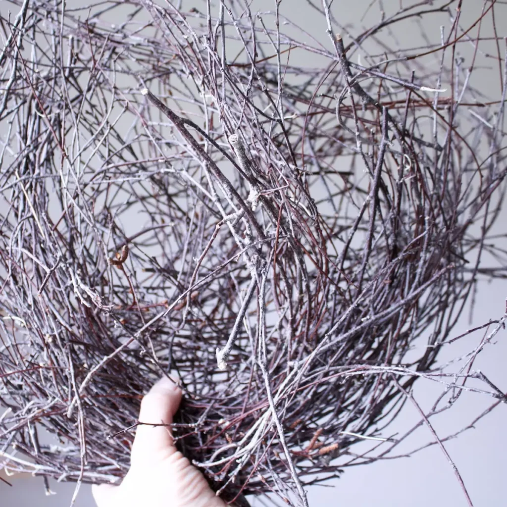 Twigs that Olga Prinku uses in her work