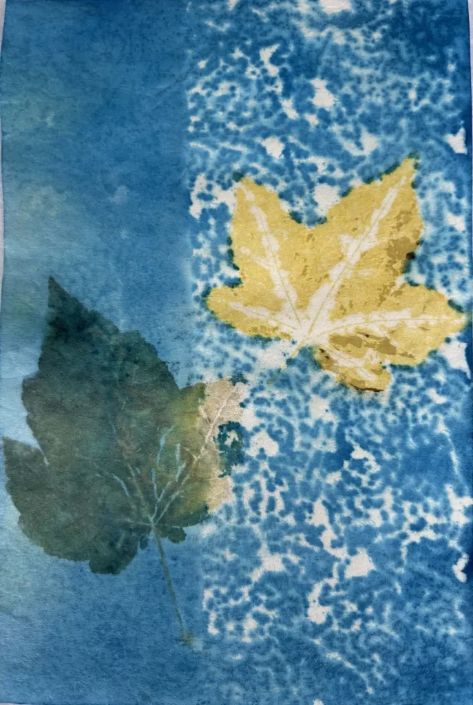 Maple lace gelatin print by Sonja Lee-Austin
