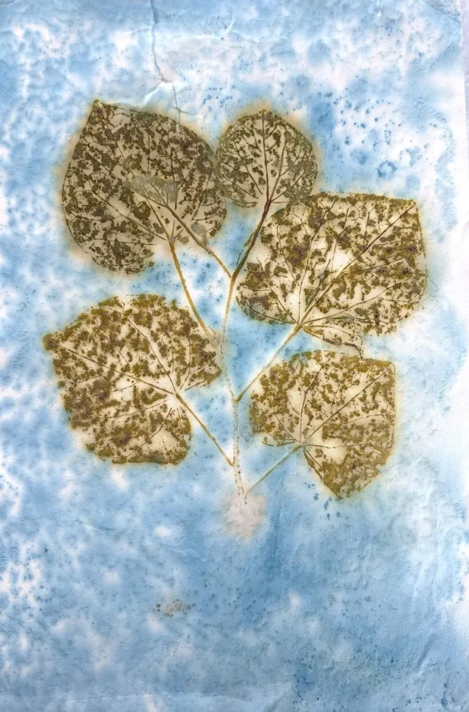 Redbud lace gelatin print by Sonja Lee-Austin