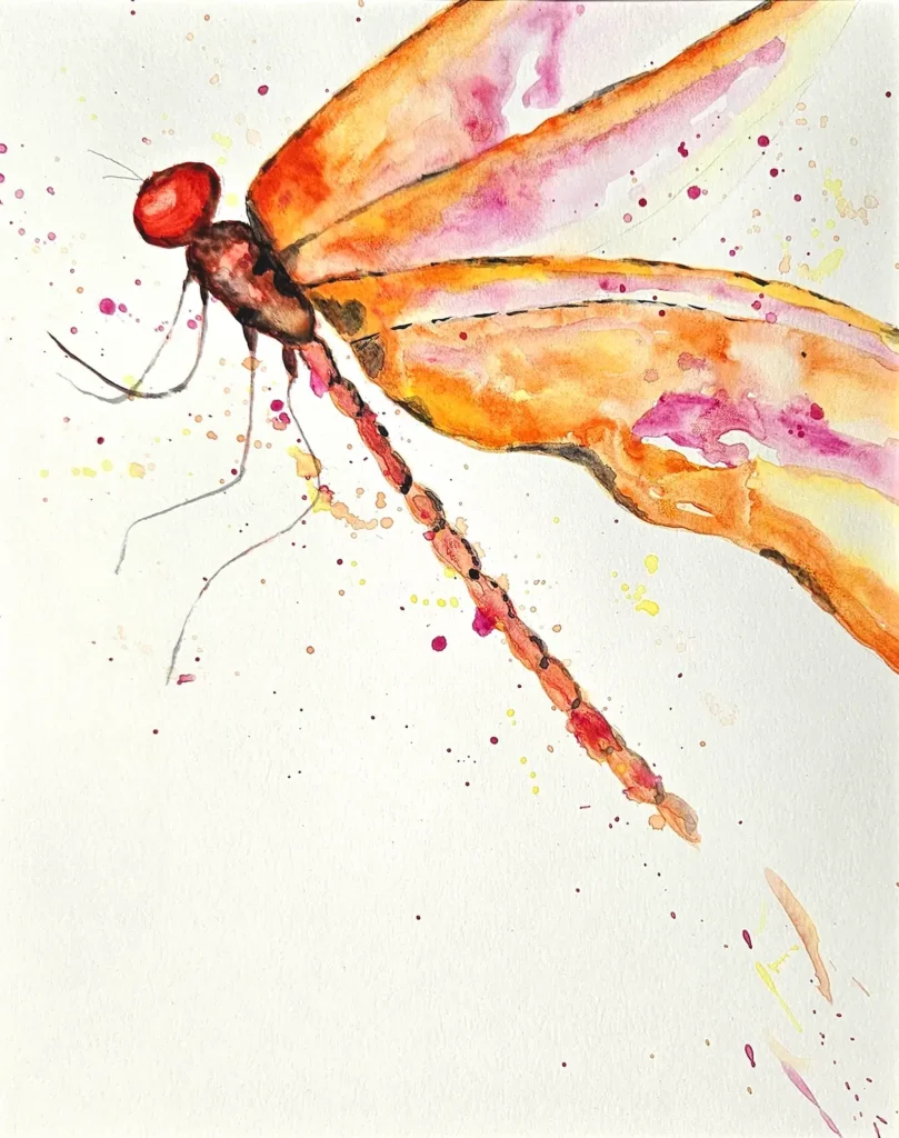 Watercolor Dragonfly 2 by Shelley Koss
