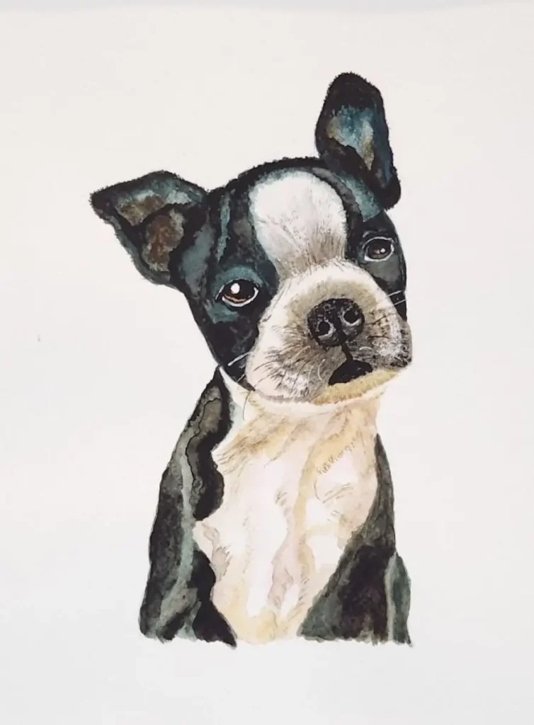 Boston illustration by Shelley Koss