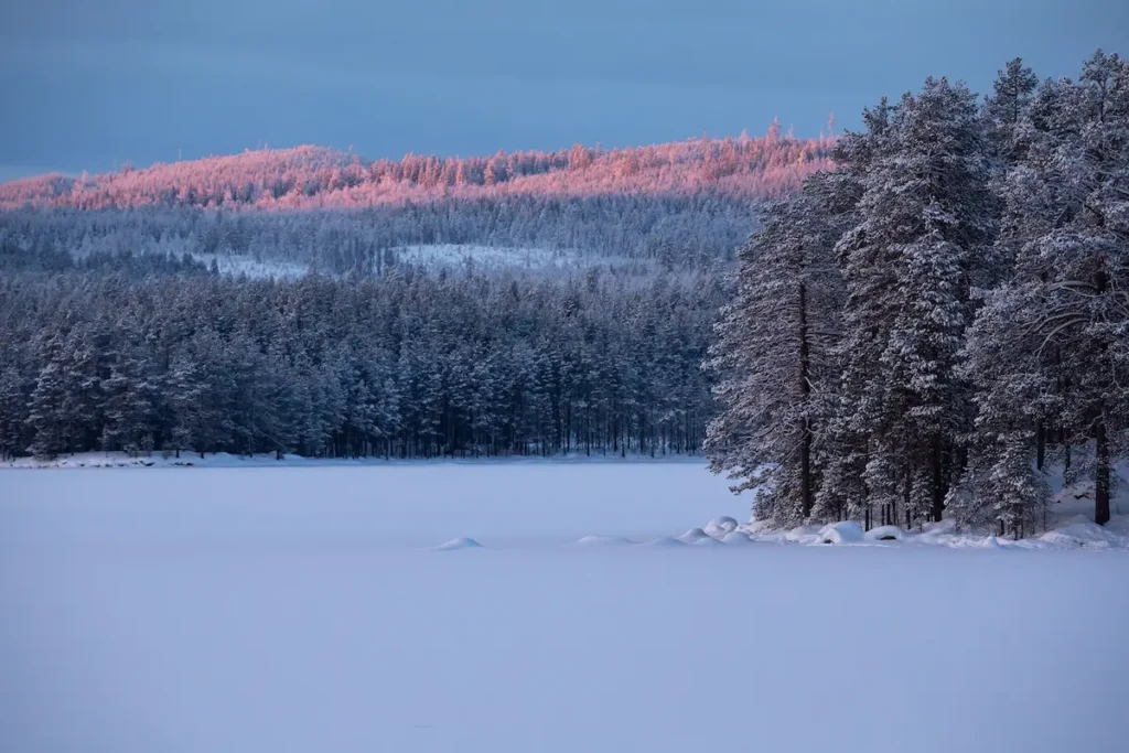 Inspiration photo of snow in field and on trees by Simone Steuxner