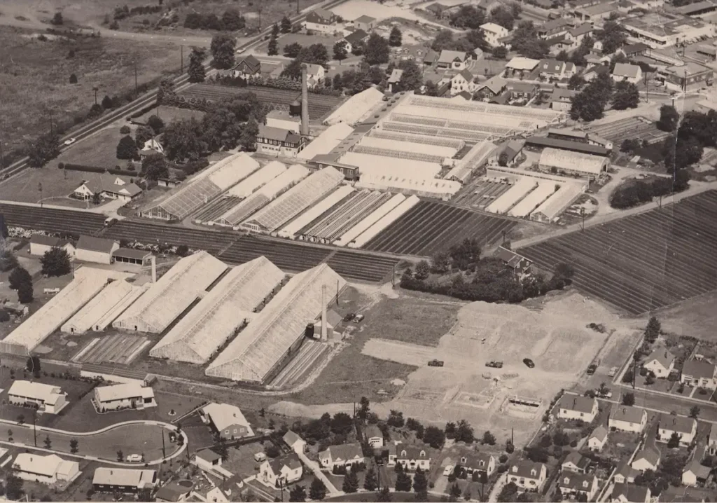 Susan Polansky's family greenhouses
