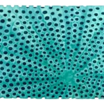 Diatom 2 fiber art by Carla Stehr