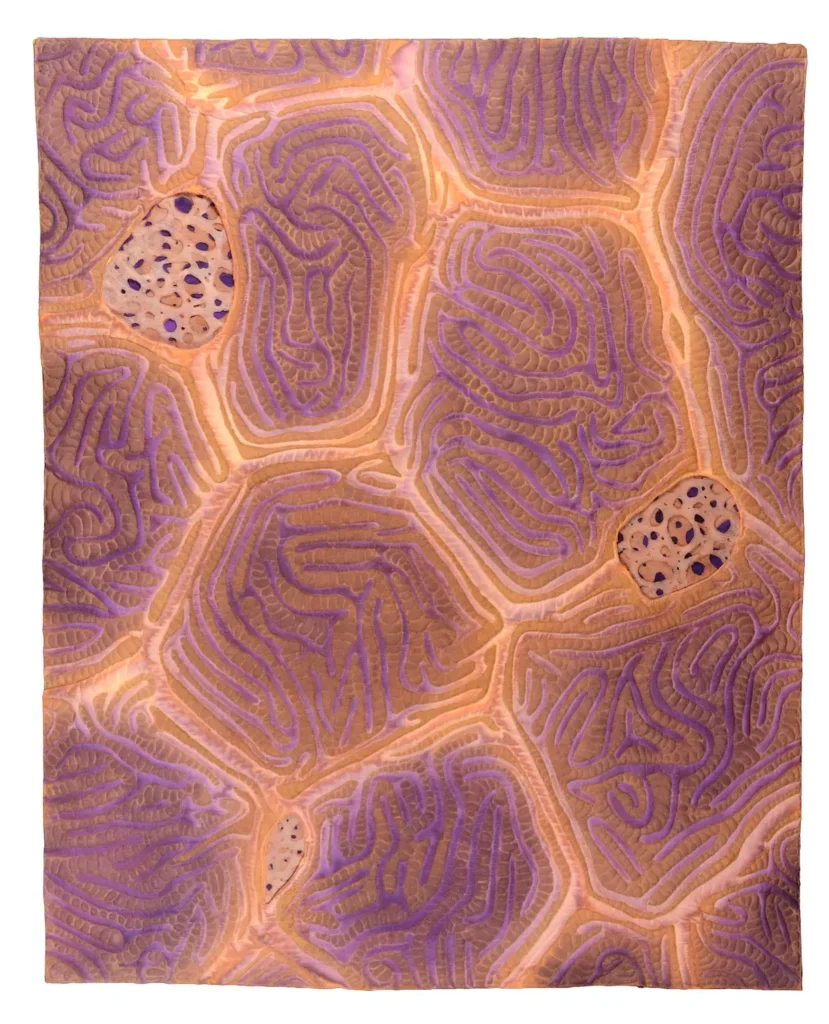 Fish Skin 2 fiber art by Carla Stehr