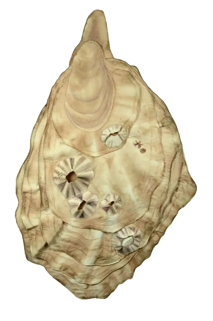 Pacific Oyster fiber art by Carla Stehr