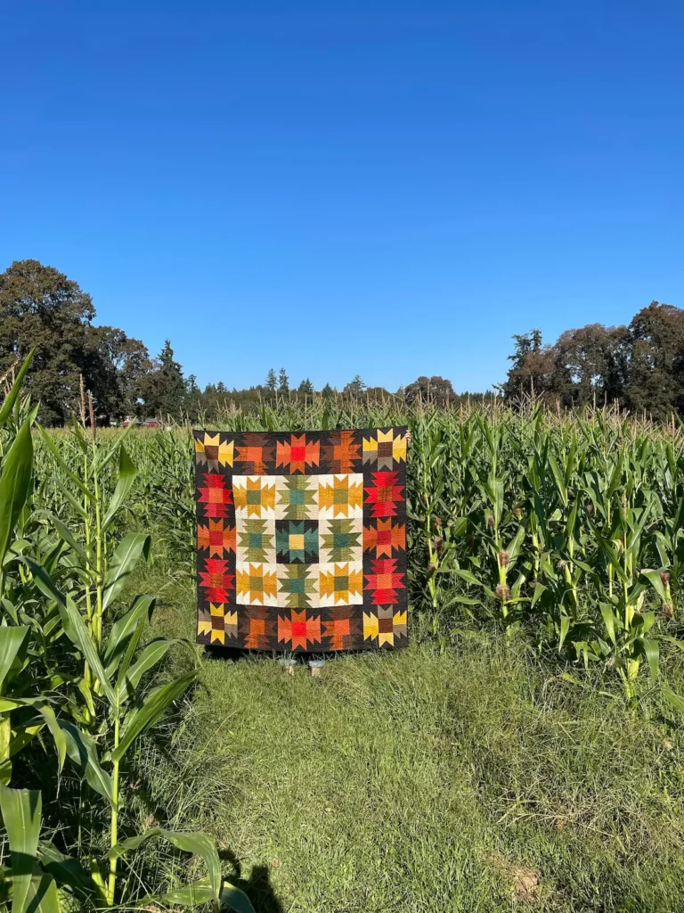 Maybe Bob quilt by Michelle Freedman