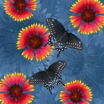 State Flowers: Oklahoma by Nikki May