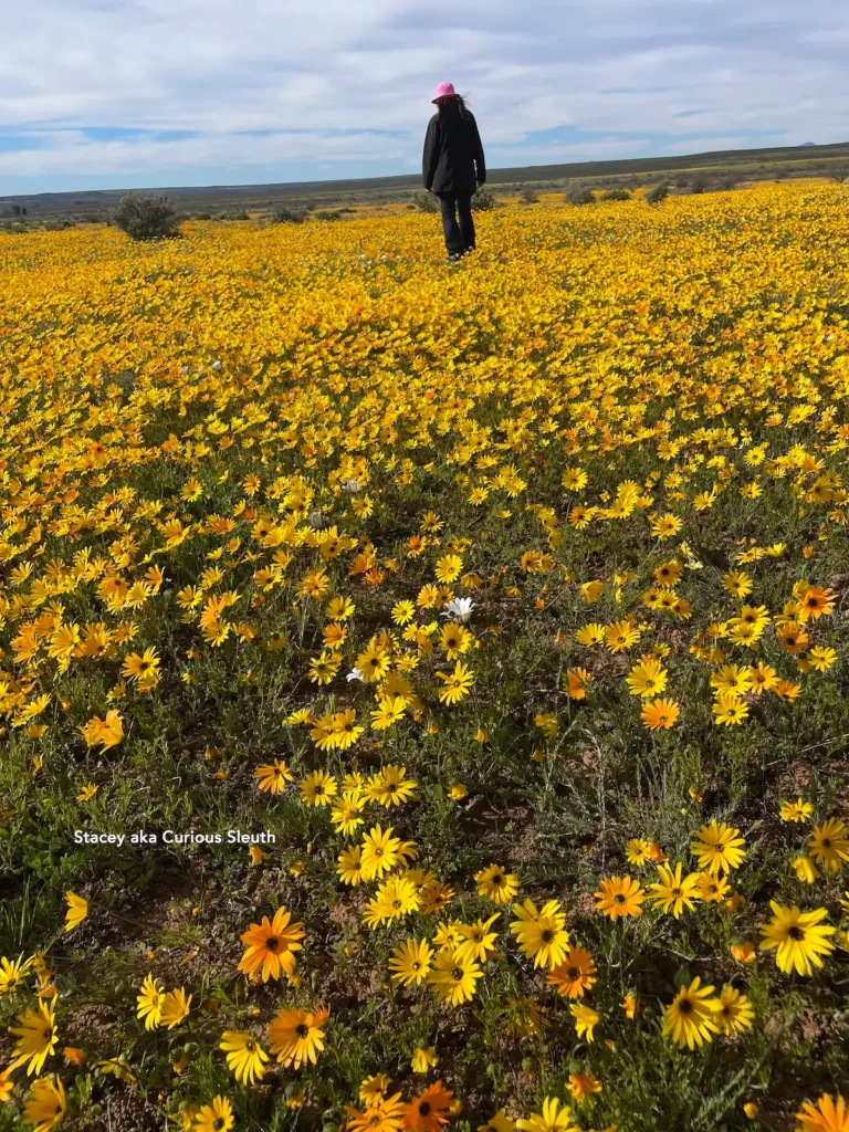 Stacey dancing with daisies in Namaqualand