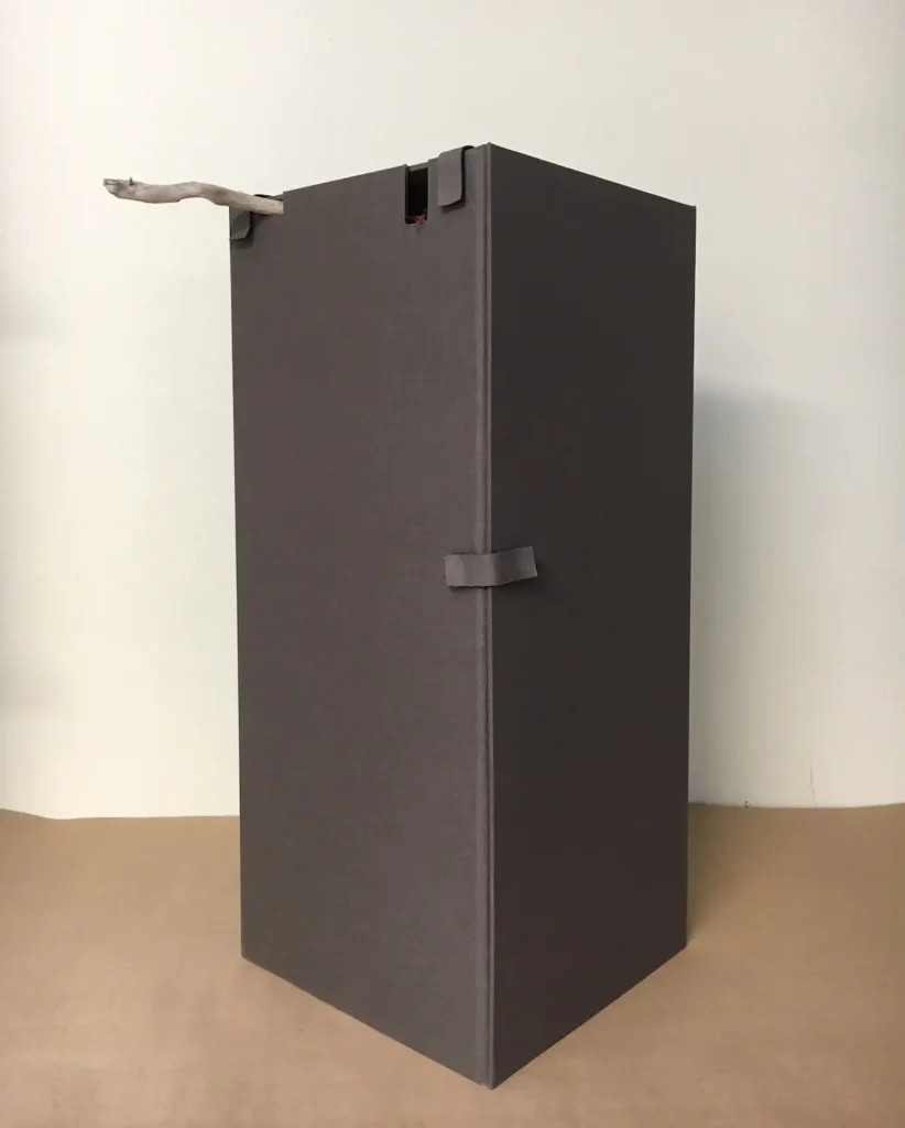 European Hornet - Invasive box by Susan Martin Maffei