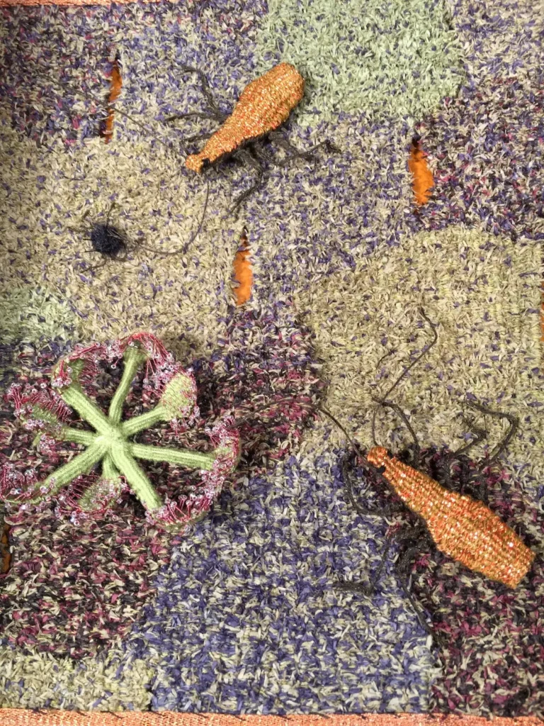 Beller's Ground Beetle - vulnerable detail by Susan Martin Maffei