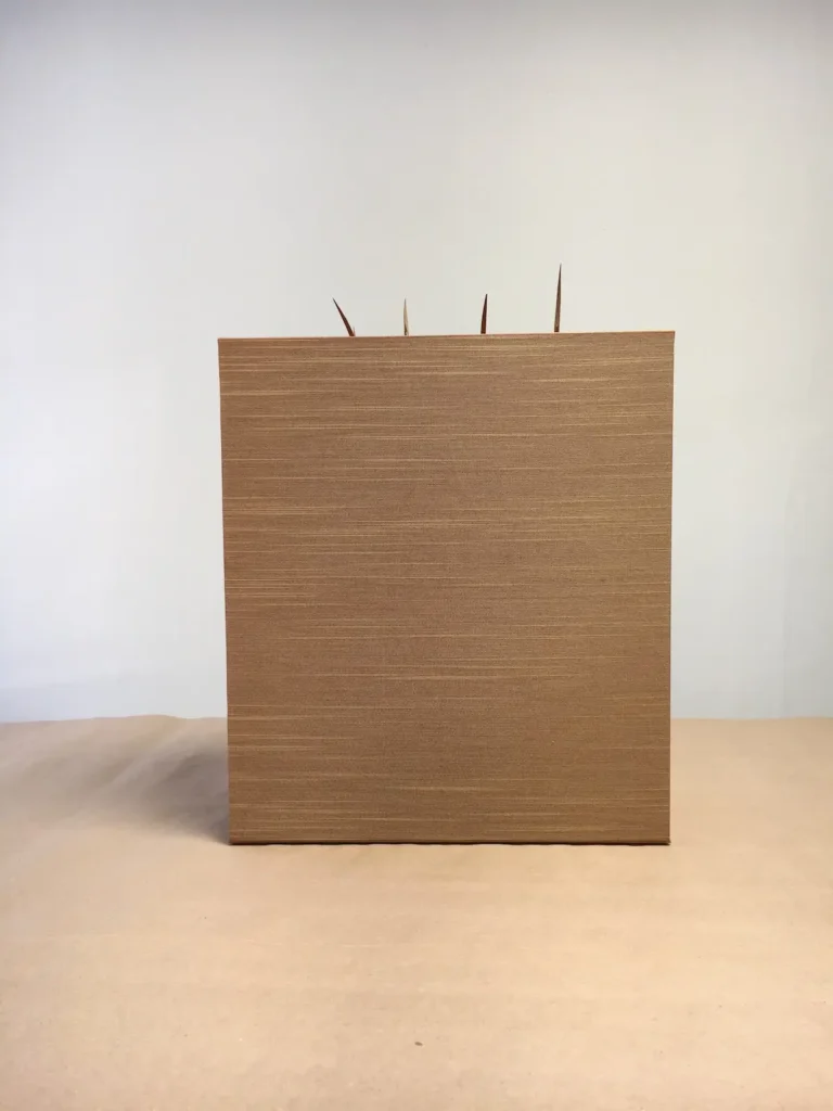 Box for Beller's Ground Beetle - vulnerable by Susan Martin Maffei