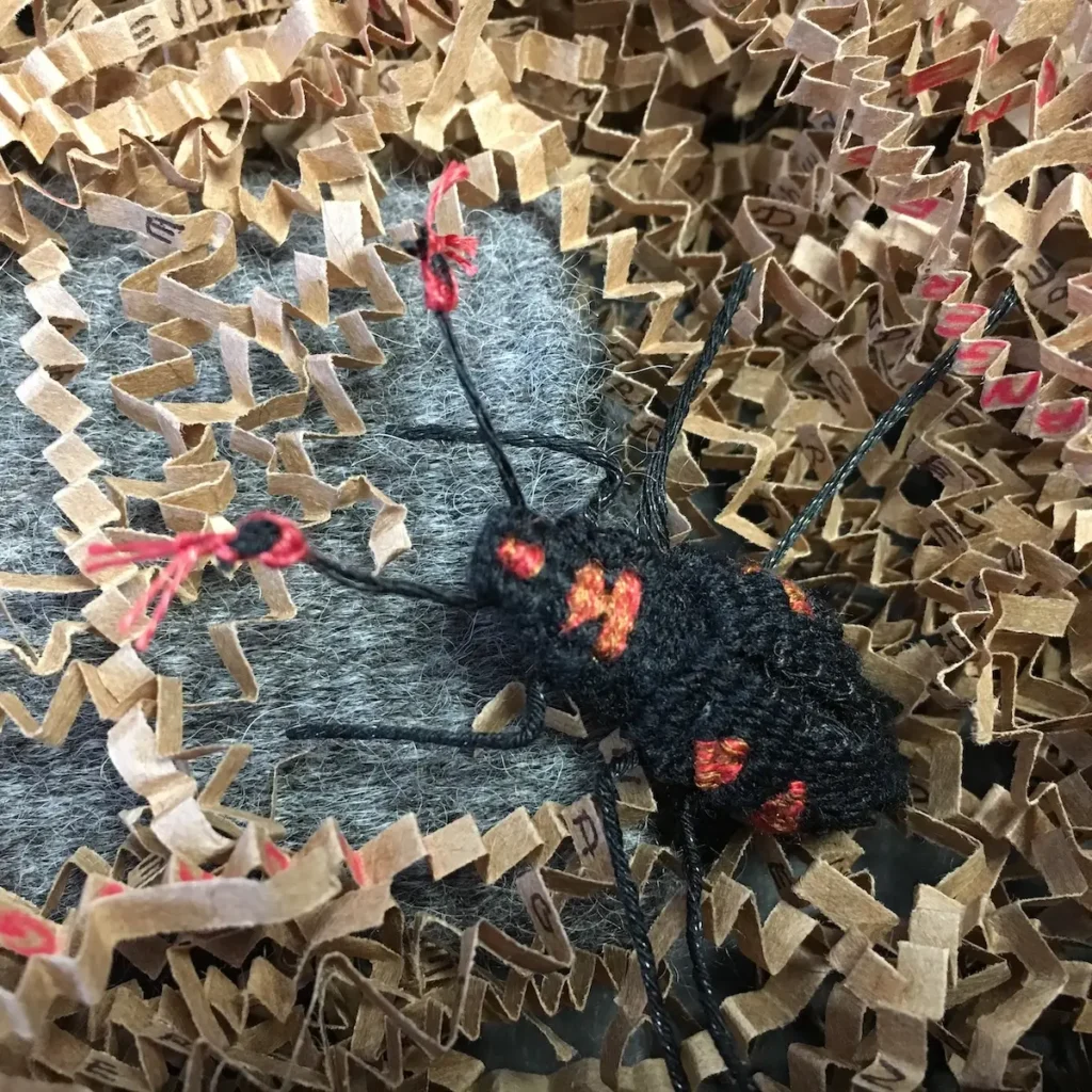 American Burying Beetle detail by Susan Martin Maffei