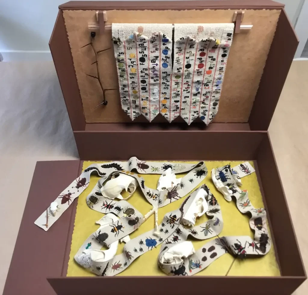 Carrion Beetles detail 3 by Susan Martin Maffei