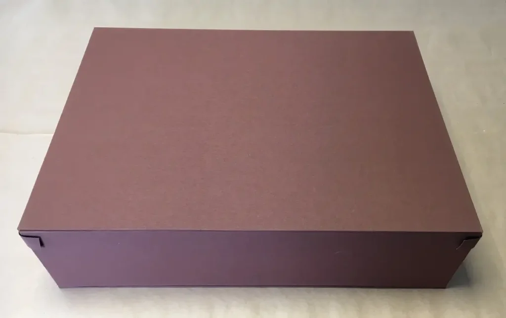 Carrion Beetles box by Susan Martin Maffei