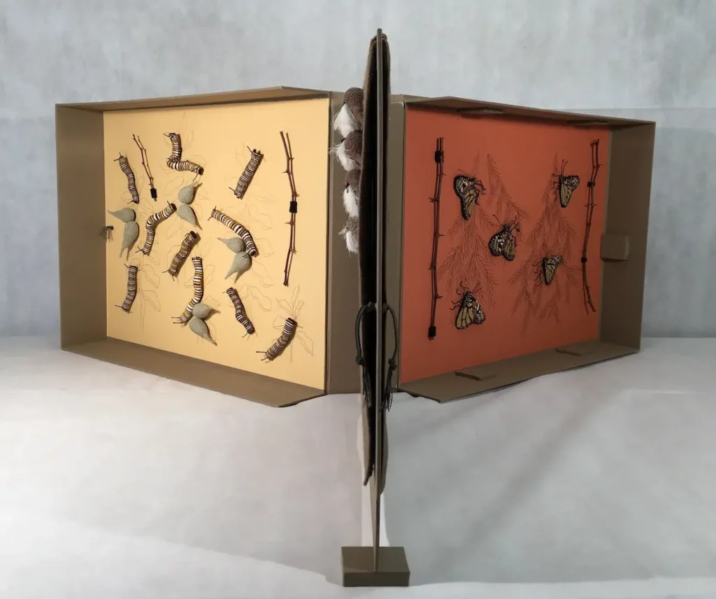 Monarch - on decline, detail 6