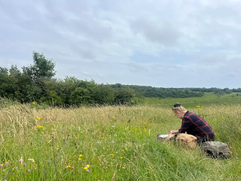 Lois Davidson at work in a wildflower meadow