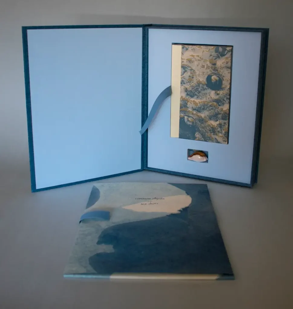 Box for At Low Water book by Rebecca Chamlee