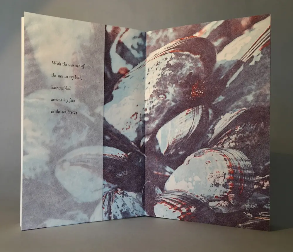 Showing the mussels printed in the At Low Water book by Rebecca Chamlee
