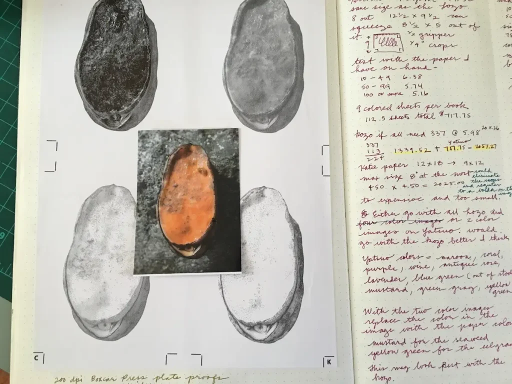 Showing a journal page for At Low Water book by Rebecca Chamlee