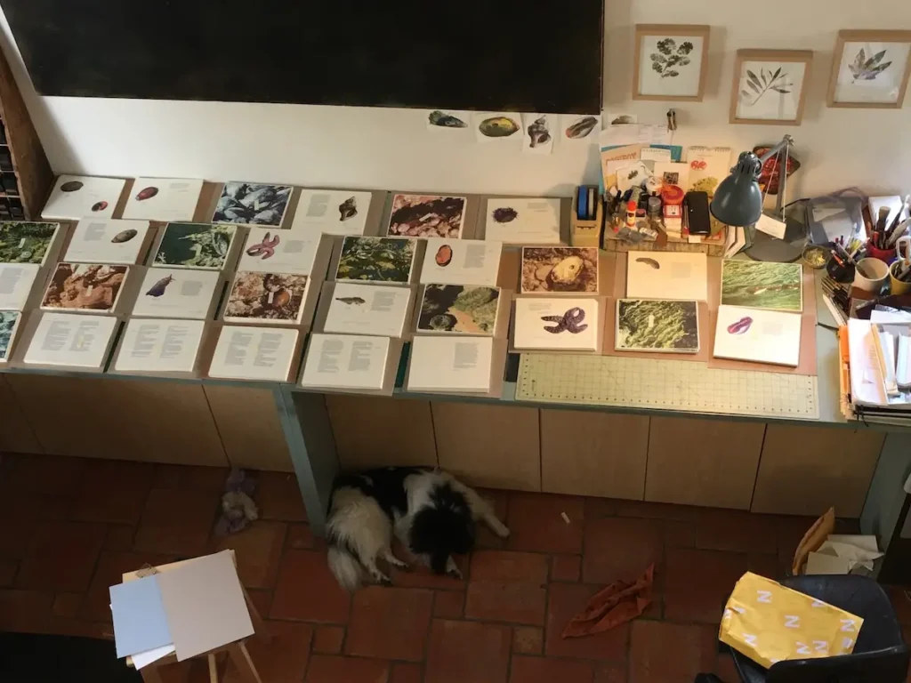 The whole book laid out for At Low Water by Rebecca Chamlee