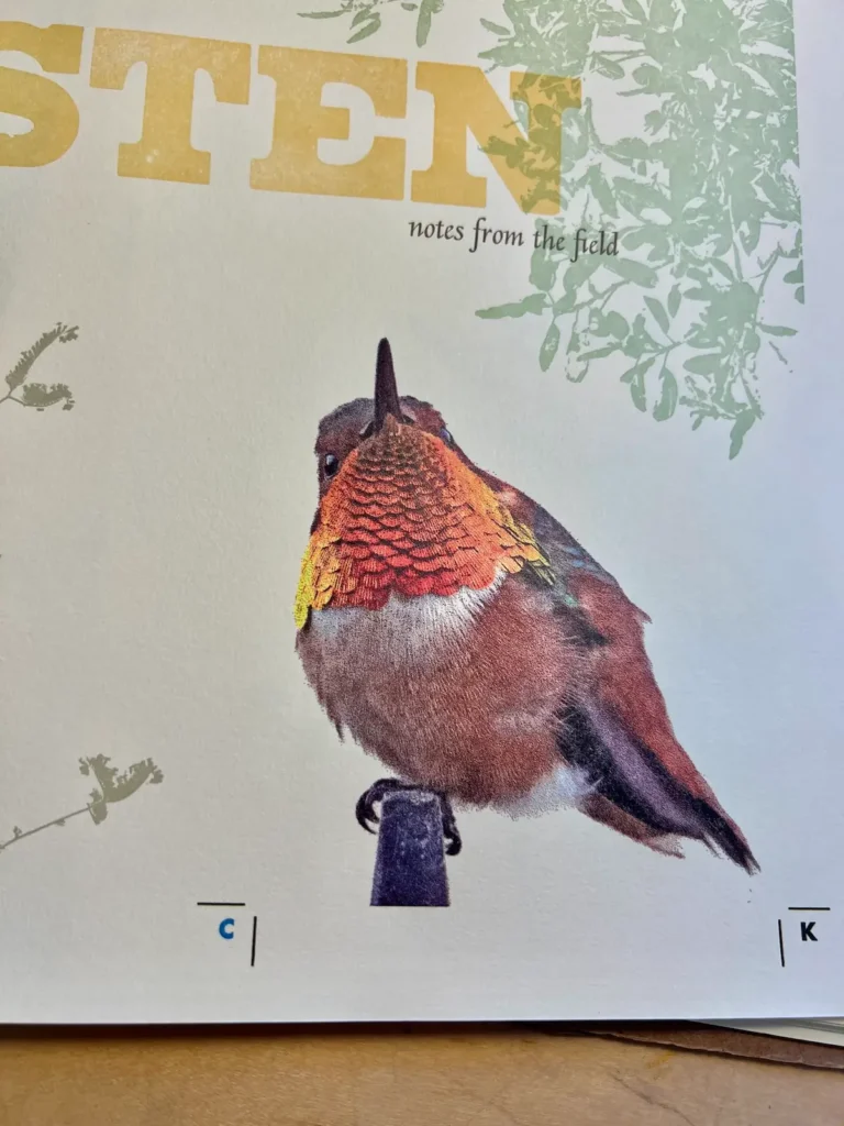 Printing the hummer finished by Rebecca Chamlee