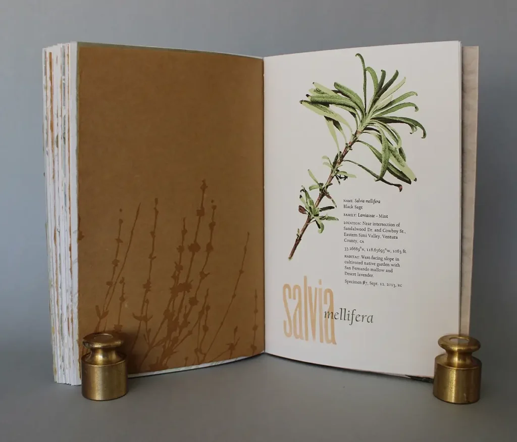 Inside of finished book Where Stucco Meets by Rebecca Chamlee