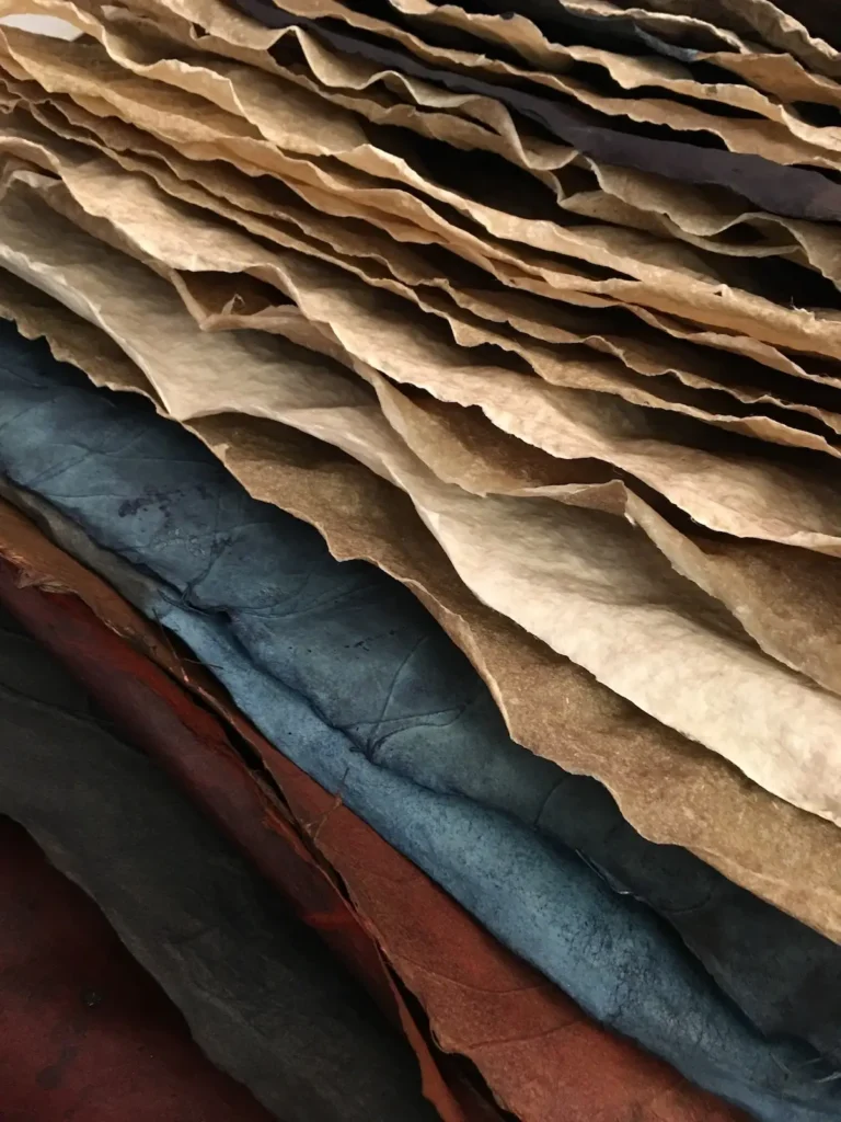 Papers for Where Stucco Meets by Rebecca Chamlee