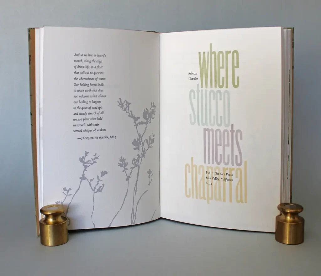 Title page for Where Stucco Meets by Rebecca Chamlee