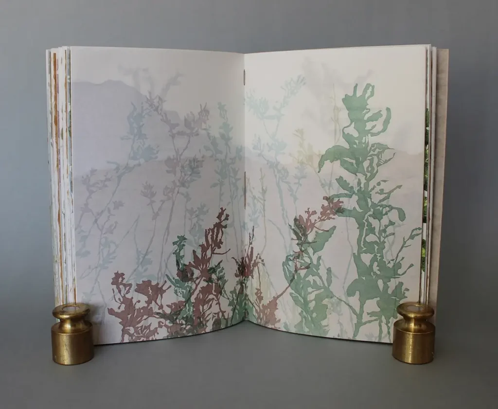 Inside page showing Yerba from Where Stucco Meets book by Rebecca Chamlee