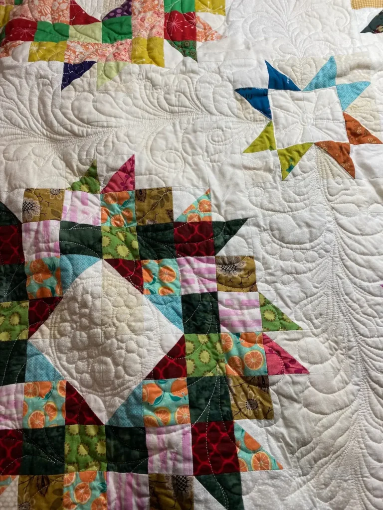 Another non-AI quilt example of free motion quilting by Theresa Benson