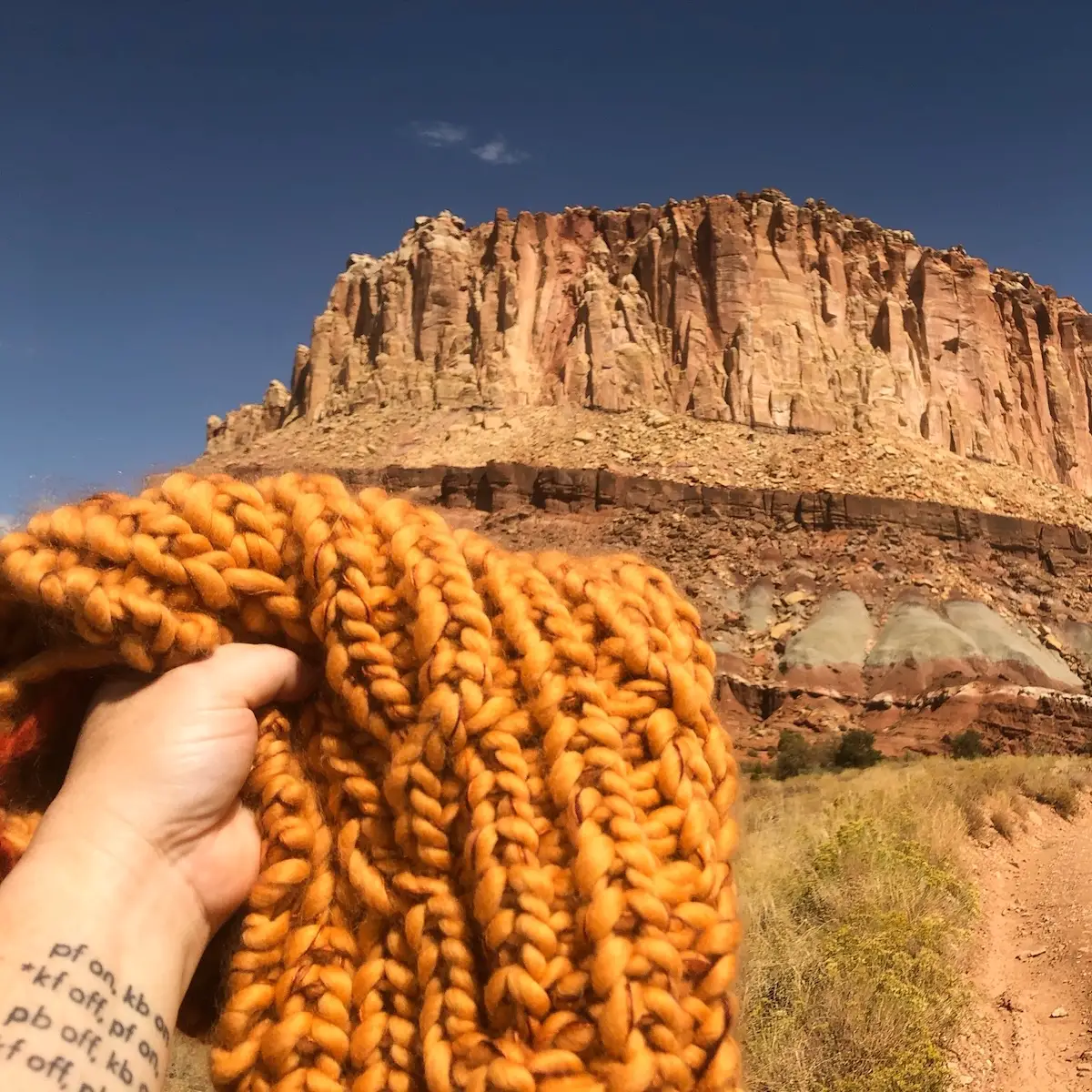 Spotlight: Virginia Chamlee, Knitting and Textile Artist