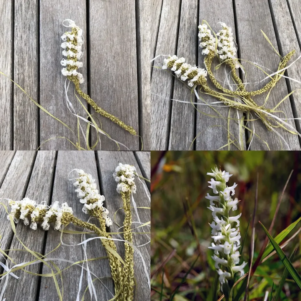 Ute Ladies Tresses knitted flowers by Virginia Catherall