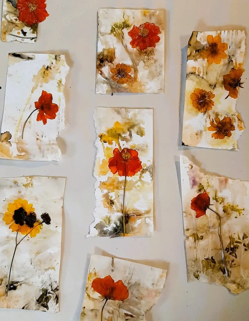 Eco-printed paper with dried cosmos